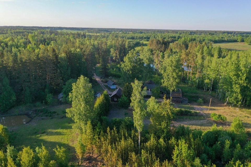 Private Farm Jakuzzi Sauna In The Forest Talsi Exterior foto